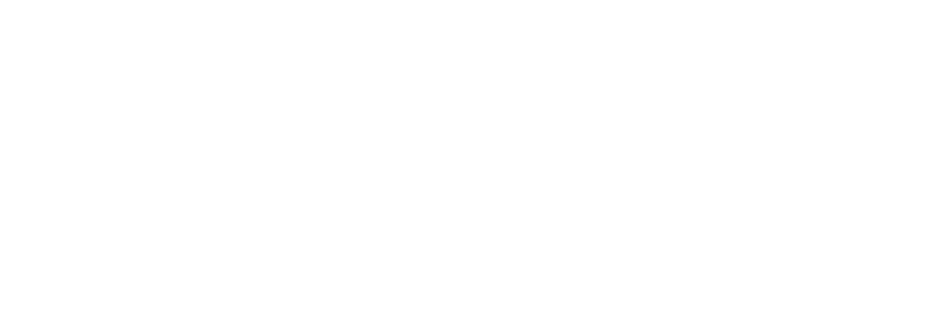 Synergos Training Academy